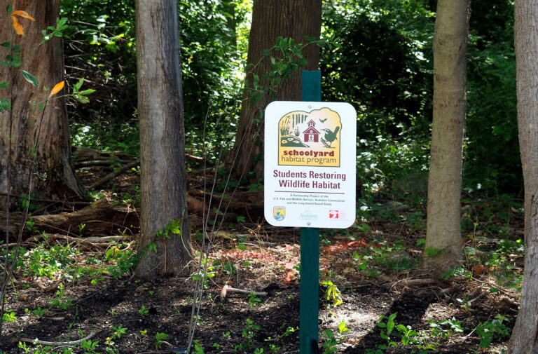 12. Discovery Magnet Student Wetlands Sign Sep 17